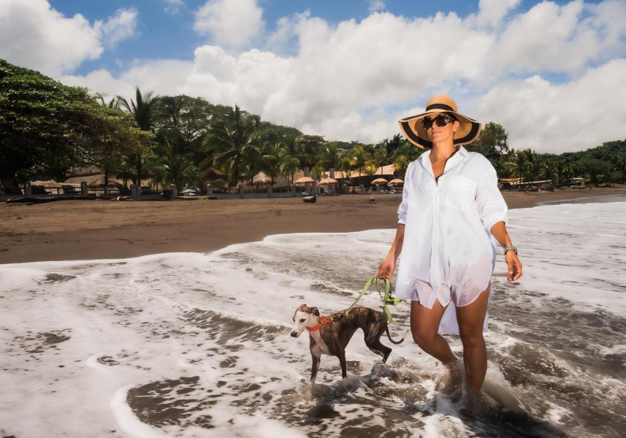Bahia Del Sol Beach Front Boutique Hotel Potrero  Exteriör bild